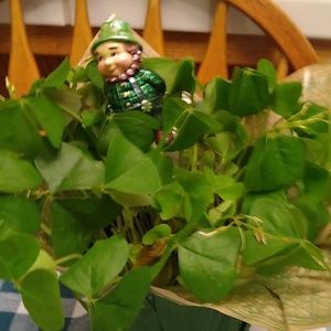 Meet your Posher, Lillian